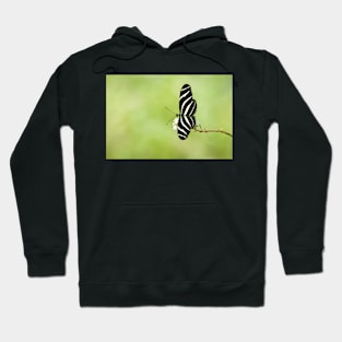 Zebra Longwing Butterfly Hoodie